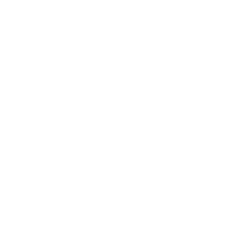 Logo, Dark Wolf, Workshop Titelbild
